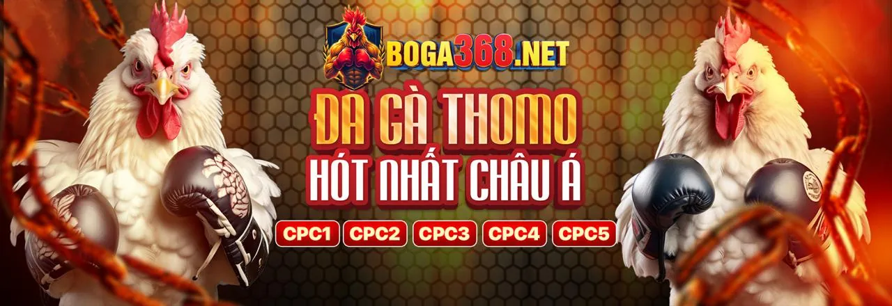 Hệ thống bảo mật w66 đảm bảo an toàn tuyệt đối cho người chơi